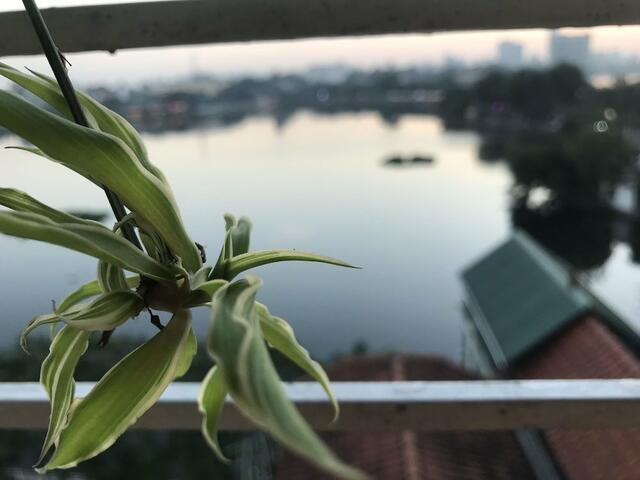 фото отеля The Autumn Homestay изображение №13