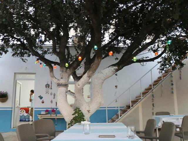 фотографии Otel Marinada изображение №8