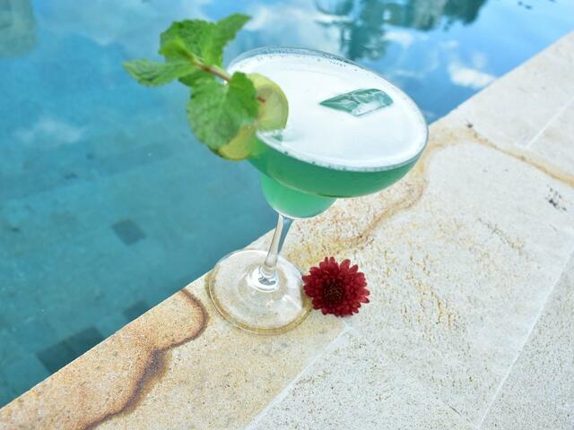 фотографии отеля The Barari Villas изображение №3