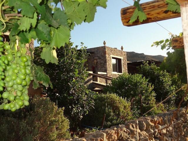 фотографии Terra Minoika Villas изображение №4