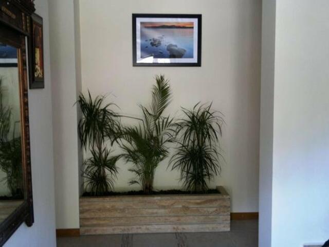 фотографии отеля Hotel Dalos изображение №43