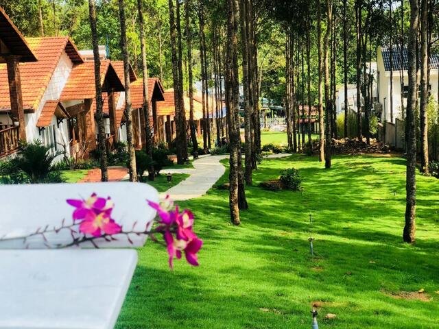 фотографии отеля Doi Sao Phu Quoc изображение №3