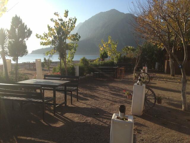 фотографии Kutle  изображение №40