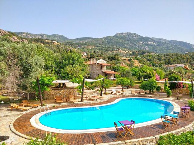 фотографии Zephyros Hotel изображение №28