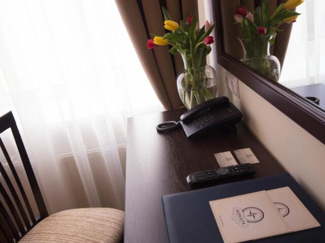 фотографии отеля Соната На Владимирской Площади (Sonata Na Vladimirskoj Ploshchadi) изображение №23