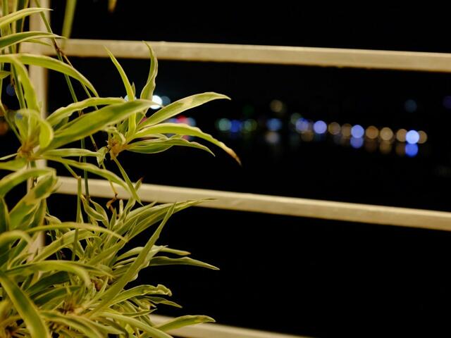 фото отеля The Autumn Homestay изображение №5