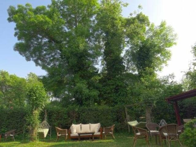 фото отеля Agva Piccolo Mondo Hotel изображение №17