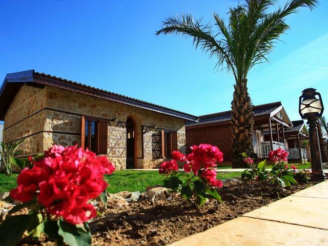 фотографии Sedir Park Bungalow Hotel изображение №4