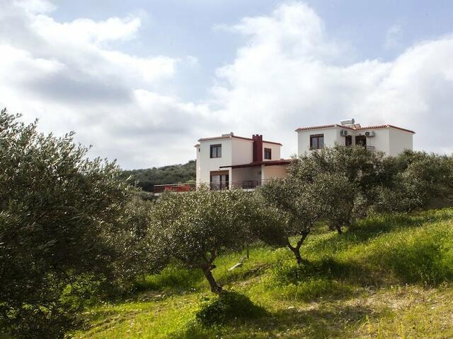 фотографии отеля Foivos and Athina Villas изображение №3