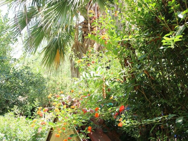 фотографии Hotel Dalos изображение №4