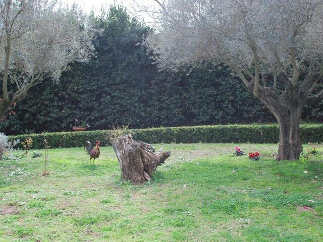 фото Residence Casale Mostacciano изображение №22