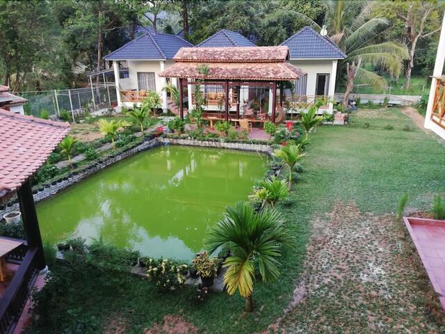 фотографии Areca Garden Bungalow изображение №8