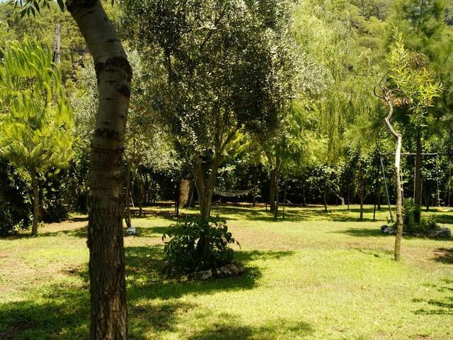 фотографии Hotel Dalos изображение №12