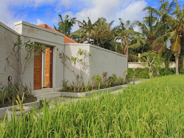 фото отеля The Pandan Tree Villas изображение №1