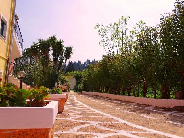 фотографии отеля Joanna Apartments изображение №7