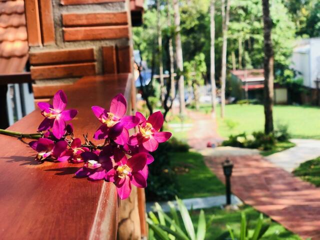 фото Doi Sao Phu Quoc изображение №6