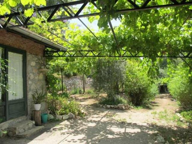 фотографии Faralya Botanica изображение №4