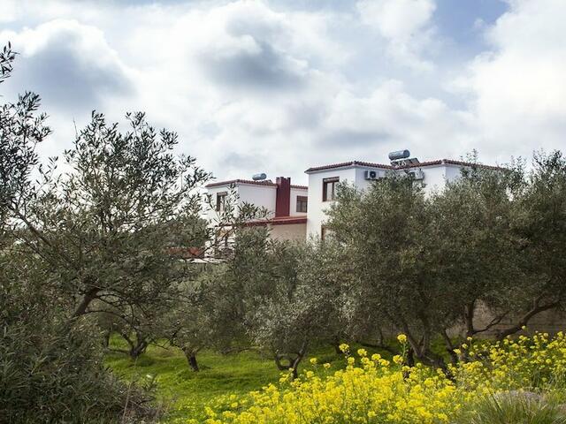 фотографии Foivos and Athina Villas изображение №4