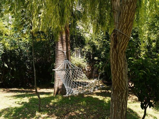 фотографии Hotel Dalos изображение №8