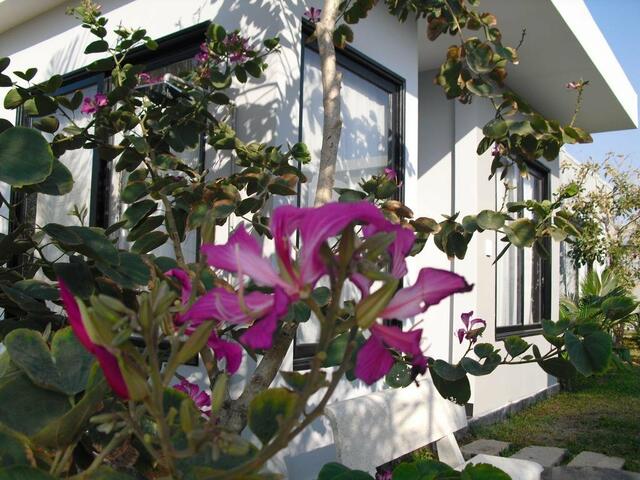 фотографии Van Nguyen Minihouse изображение №20