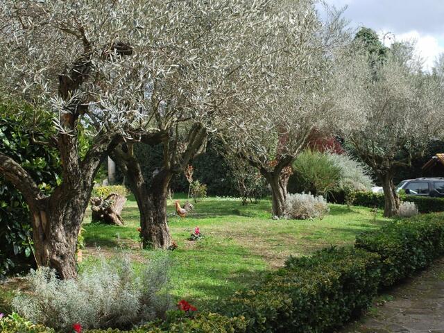 фотографии Residence Casale Mostacciano изображение №8