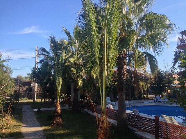 фотографии Kutle  изображение №24