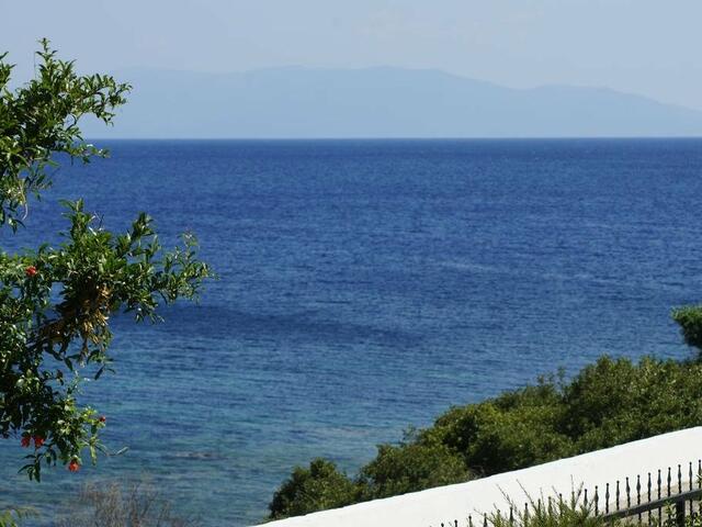 фото отеля Hotel Dalos изображение №33