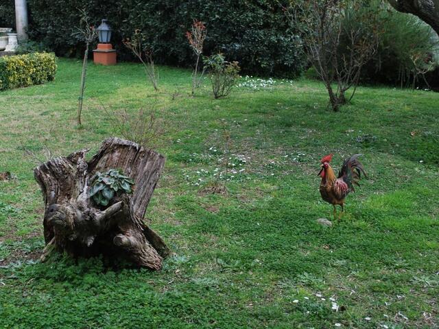 фотографии Residence Casale Mostacciano изображение №24