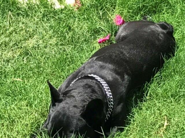 фотографии отеля Maydonoz Hotel By Zevkliler Alacati изображение №19