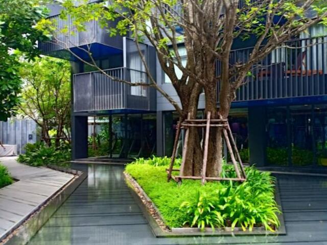 фотографии отеля Patong Beach Luxury Condo изображение №3