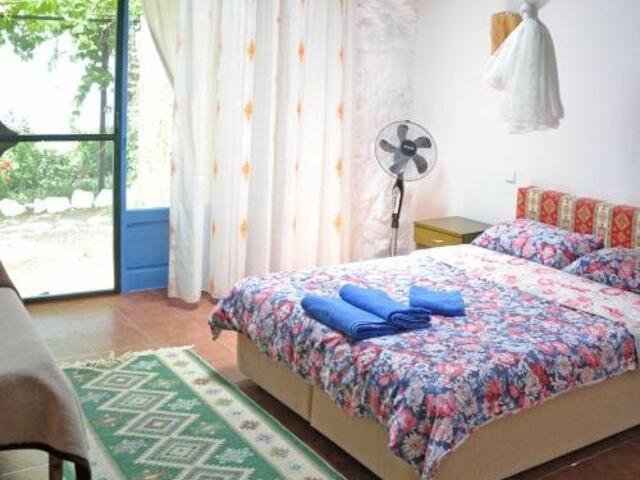 фотографии отеля Faralya Botanica изображение №35