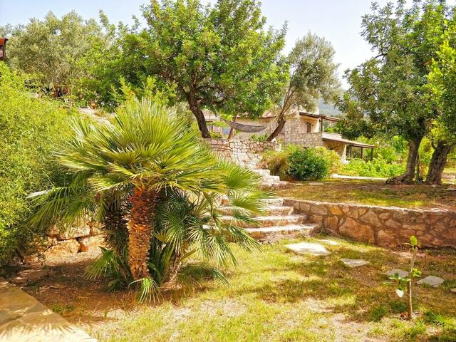 фото отеля Zephyros Hotel изображение №9