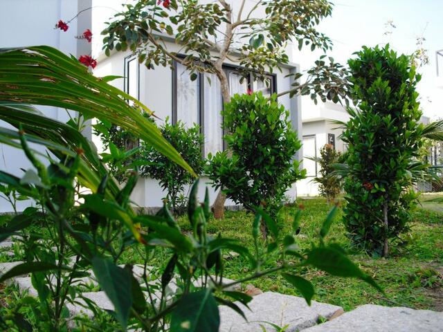 фотографии Van Nguyen Minihouse изображение №16