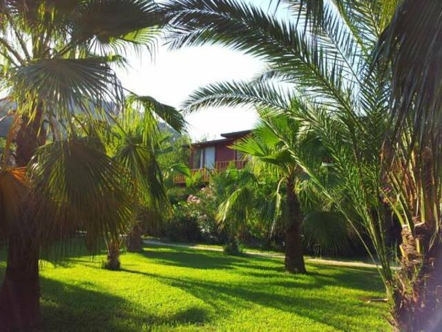 фотографии отеля Kutle  изображение №23