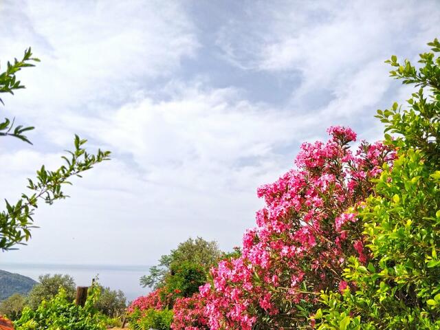 фотографии Zephyros Hotel изображение №4