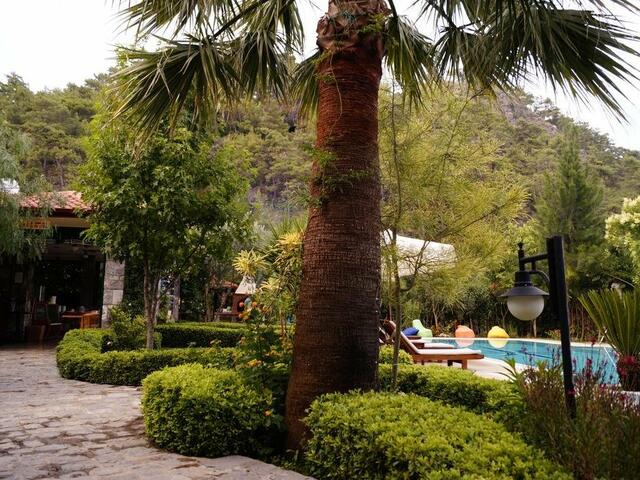 фото отеля Hotel Dalos изображение №9