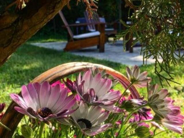 фото Agva Piccolo Mondo Hotel изображение №6