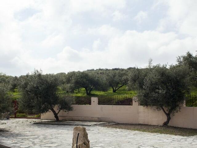 фото отеля Foivos and Athina Villas изображение №5