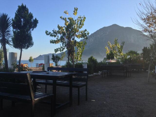 фото Kutle  изображение №30