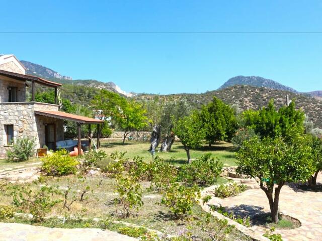 фотографии Zephyros Hotel изображение №16