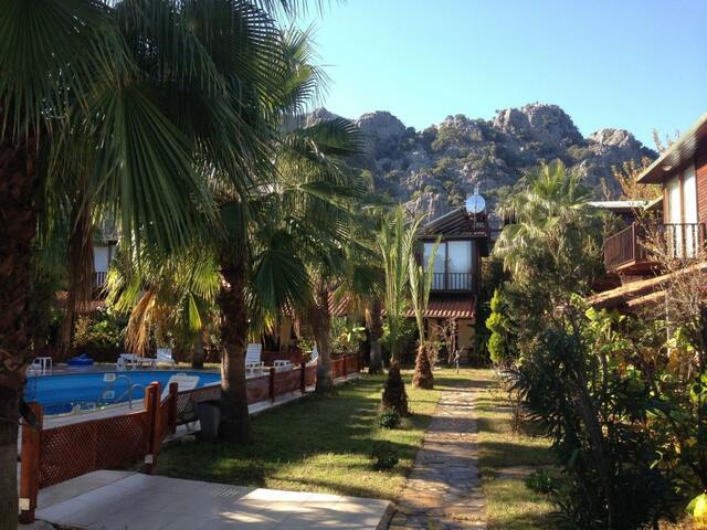 фотографии Kutle  изображение №36