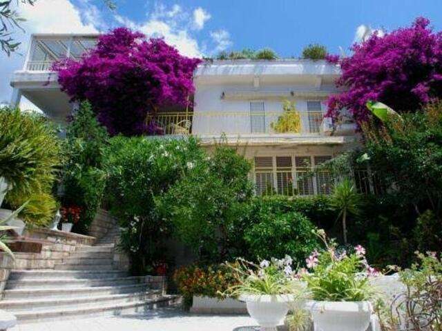 фото отеля Sun Rose Apartments изображение №1