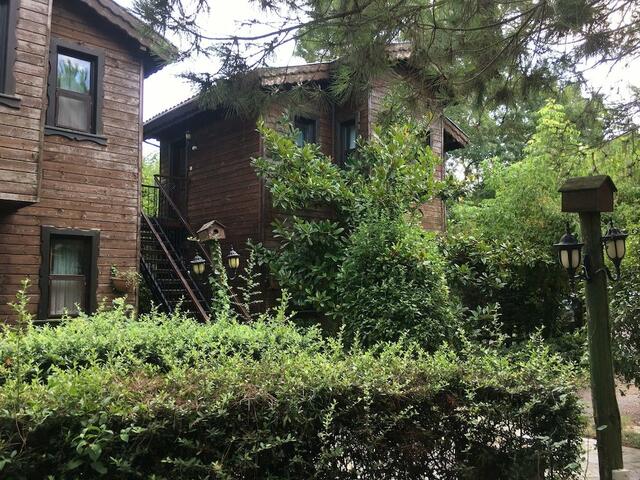 фотографии отеля Agva Piccolo Mondo Hotel изображение №15