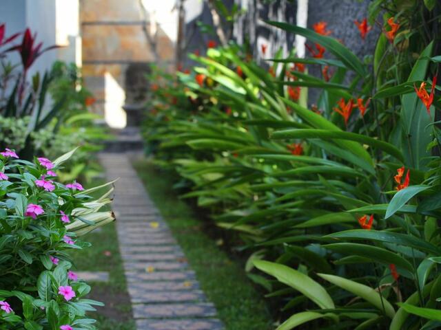 фото Lotus Tirta Seminyak изображение №6