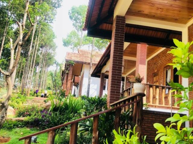 фото Doi Sao Phu Quoc изображение №22