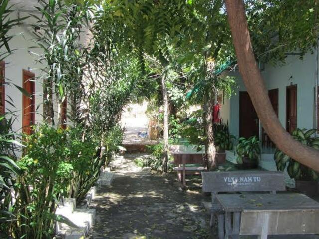 фото отеля Quoc Dinh Guesthouse изображение №13