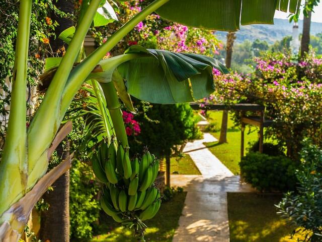 фотографии Pataros Hotel изображение №4