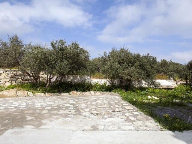 фотографии Foivos and Athina Villas изображение №8