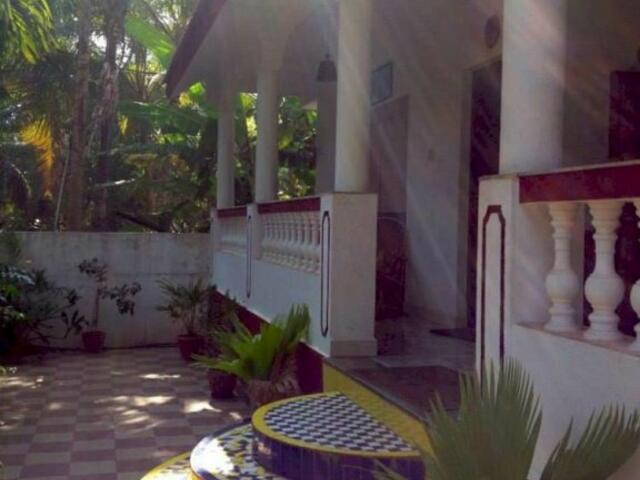 фотографии отеля White Feather Guest House изображение №3