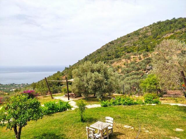 фото Zephyros Hotel изображение №2